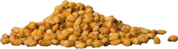 Corn Nuts