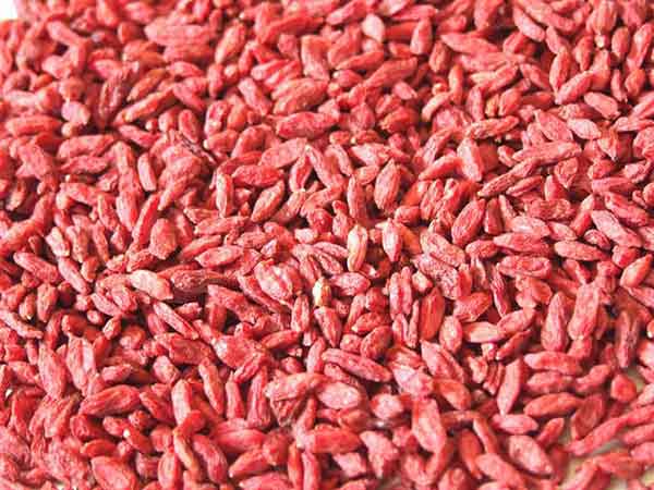 Organic Goji Berries