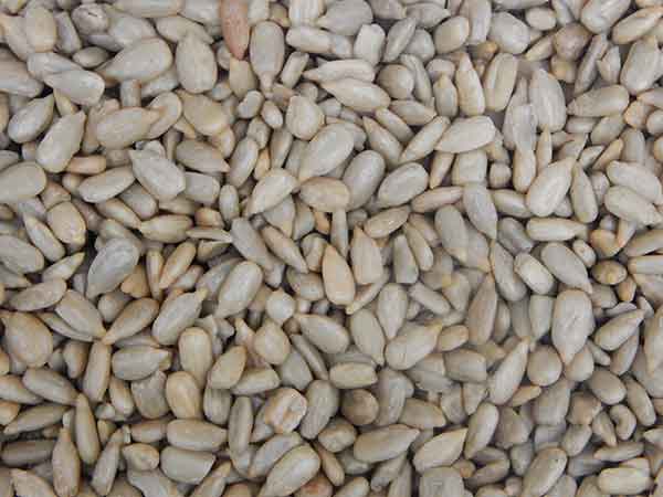 Sunflower Seed Kernels - Roasted & Salted