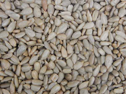 Sunflower Seed Kernels - Roasted & Salted